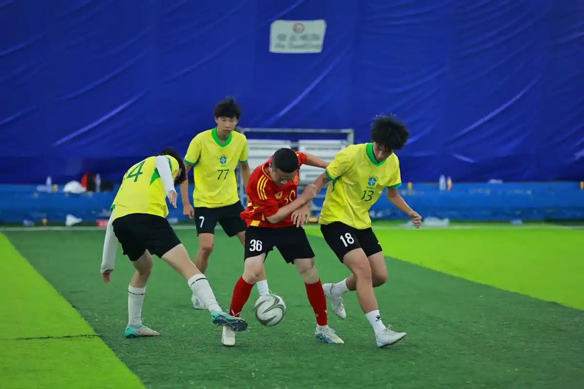 雨燕体育在线直播